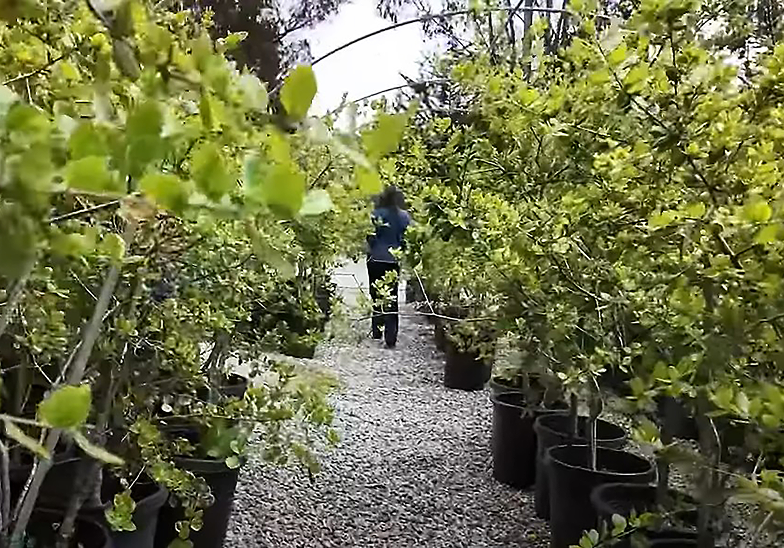 Sustainability Image